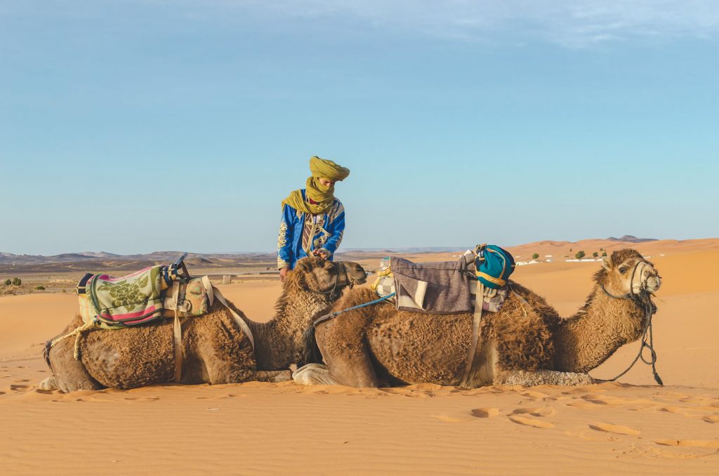 Motorkou z Prahy na Saharu – 23. část 1 Sahara - Maroko 2019 - 2 velbloudi a beduín - Andyho Cestopisy