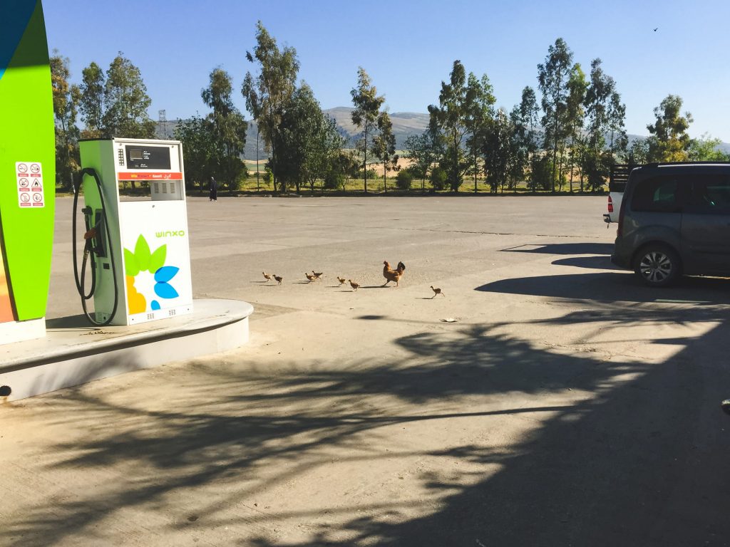 Marocká benzina - Maroko na motorce - Andyho Cestopisy