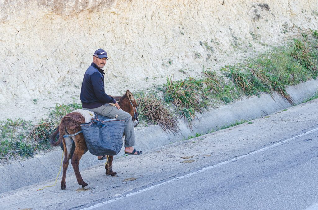 Marocký osel - Maroko na motorce - Andyho Cestopisy