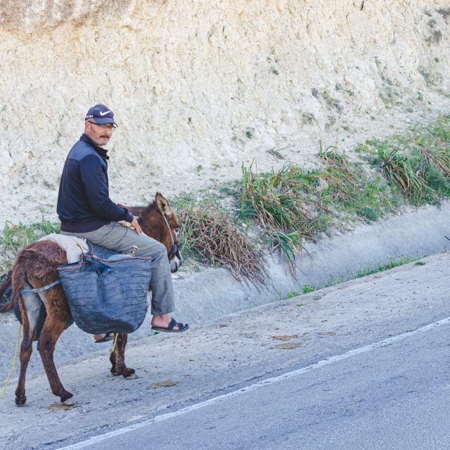 Marocký osel - Maroko na motorce - Andyho Cestopisy