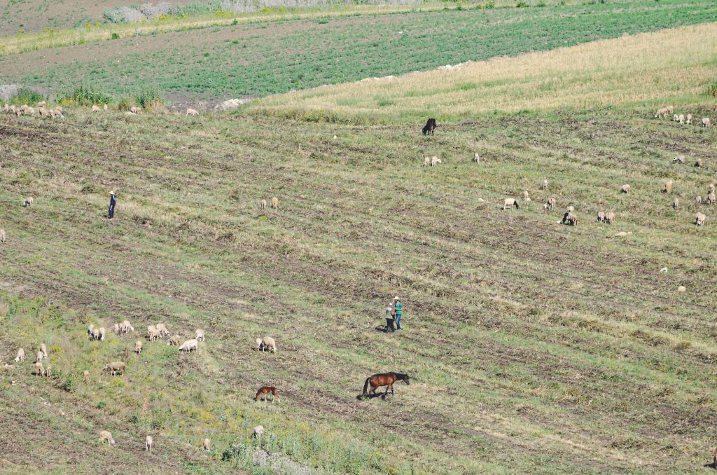 By motorbike from Prague to Sahara – part 12 6 Marocká krajina - Maroko na motorce - Andyho Cestopisy