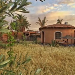 Ourzazate – Maroko Ourzazate - Maroko