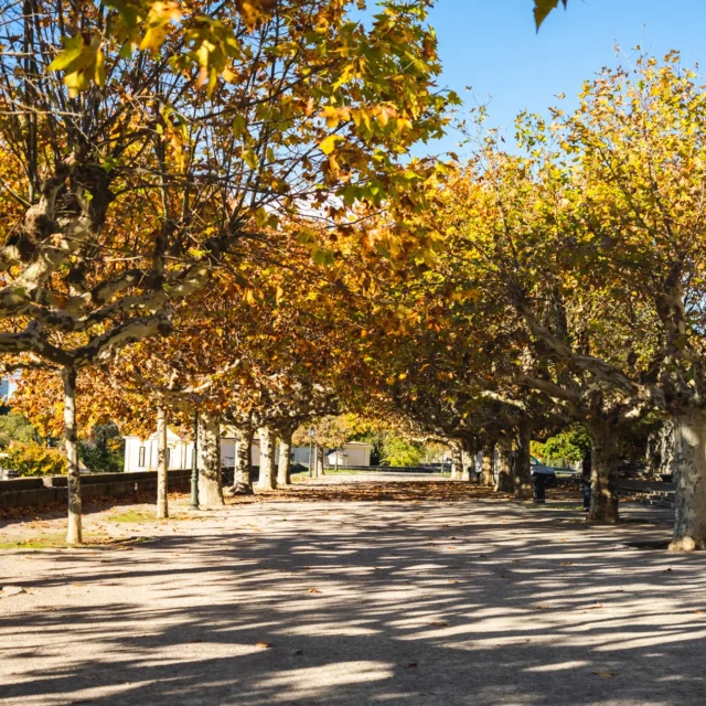 Montpelier, France 2023