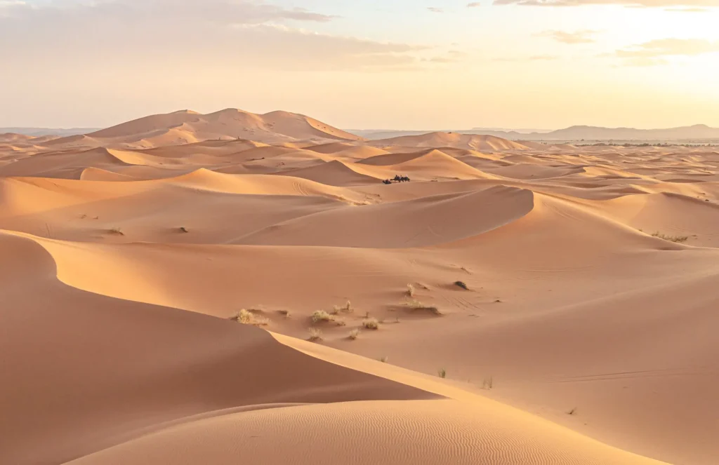 Saharská poušť a její duny